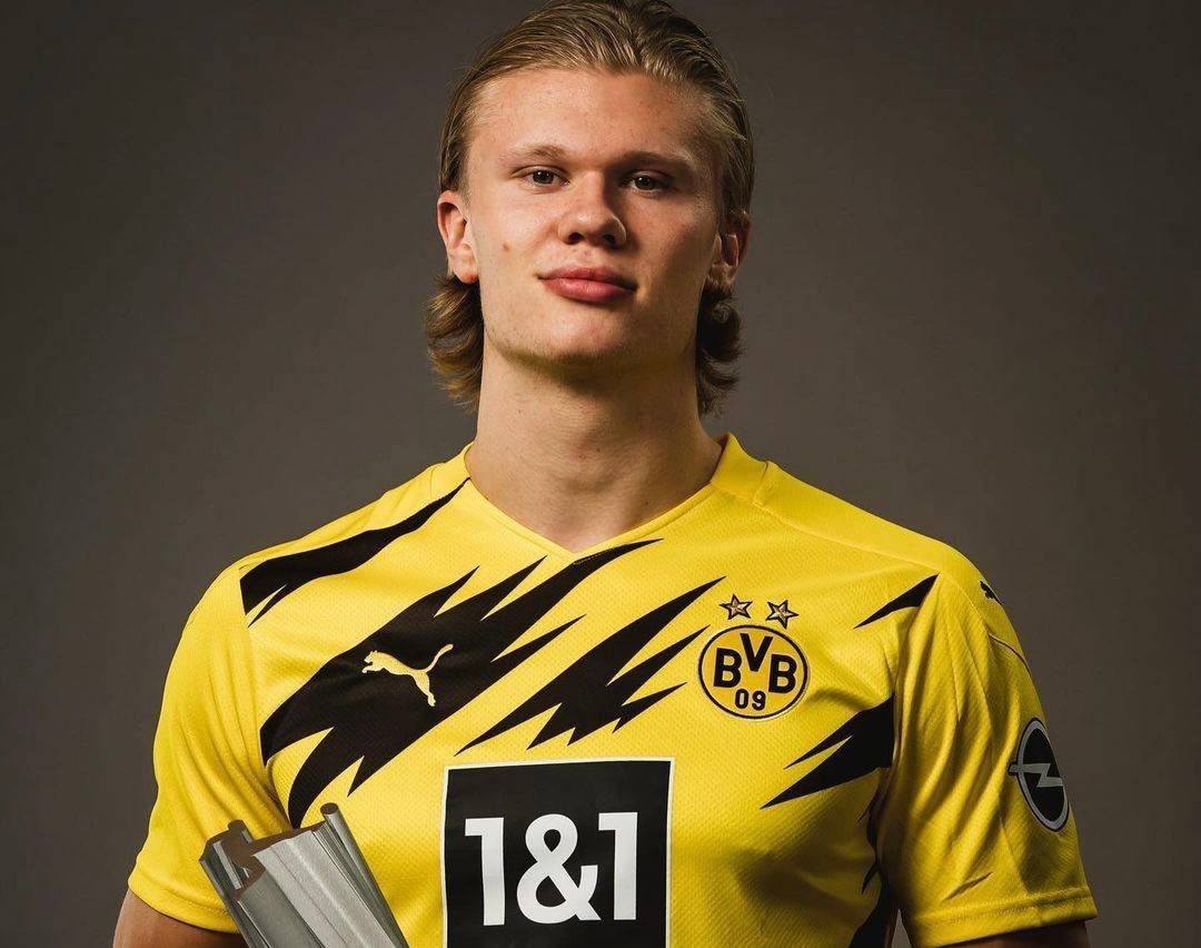 从科学视角 从科学视角